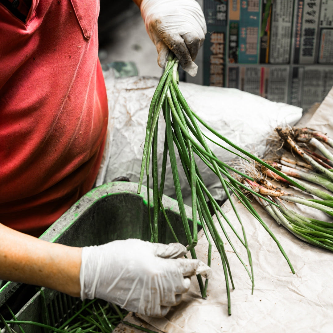 Vegetable processing and preparation