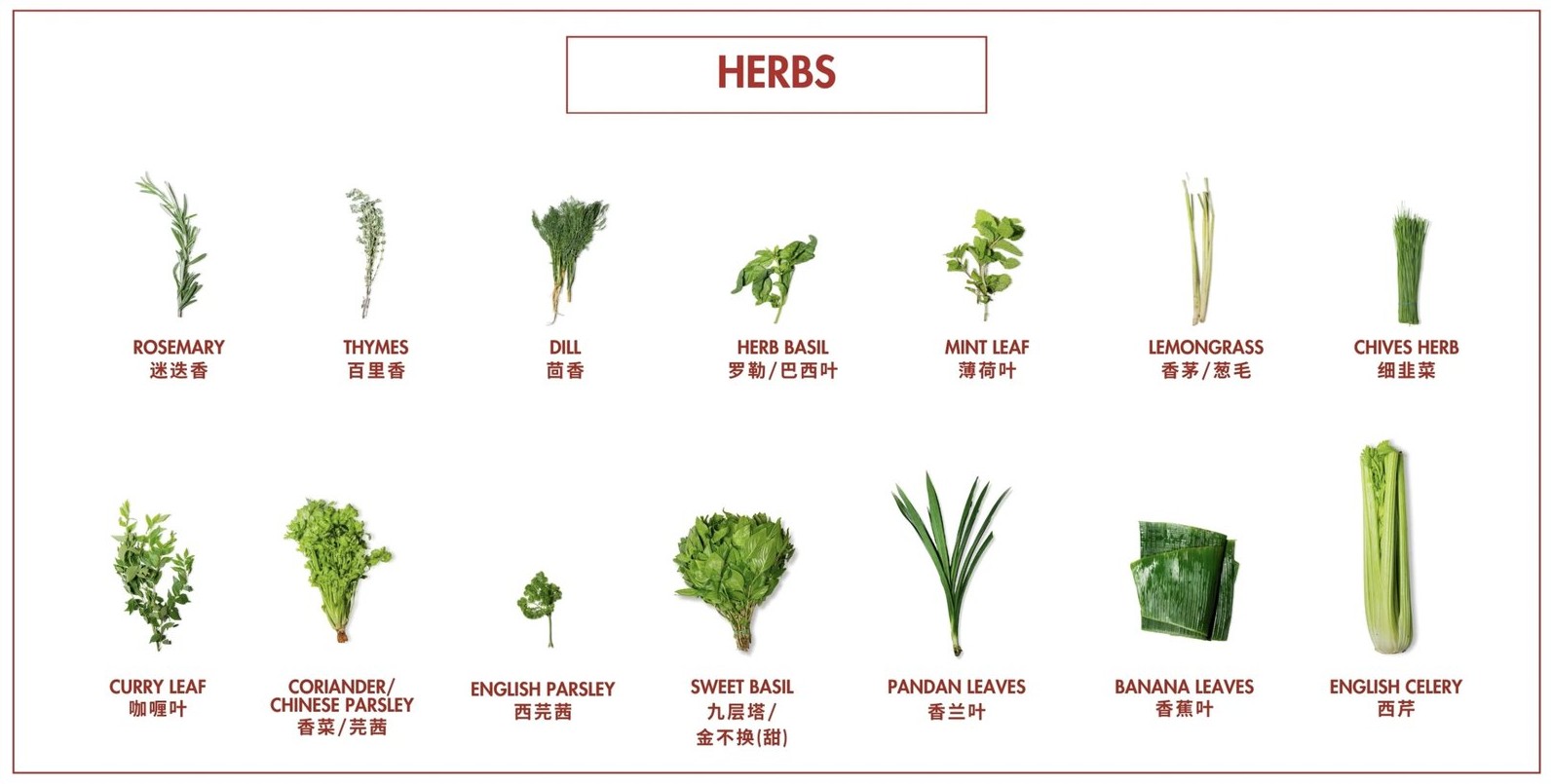 Herbs catalogue