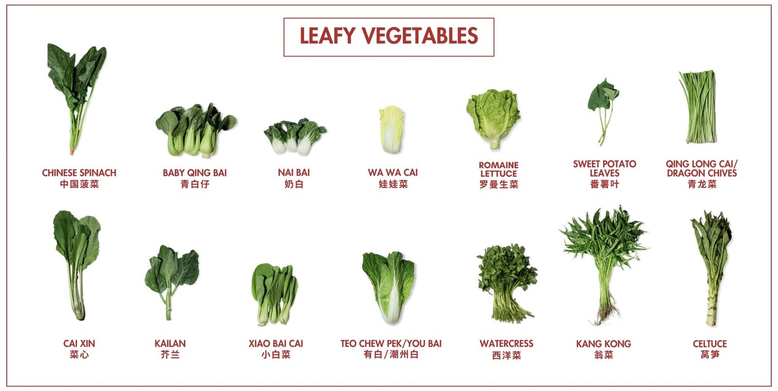 Leafy vegetables catalogue
